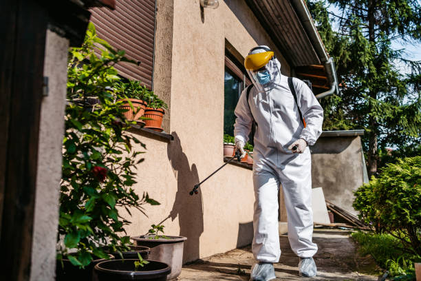 Best Pest Removal Services  in Taylor, TX