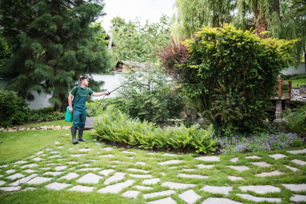 Best Best Pest Control Companies  in Taylor, TX