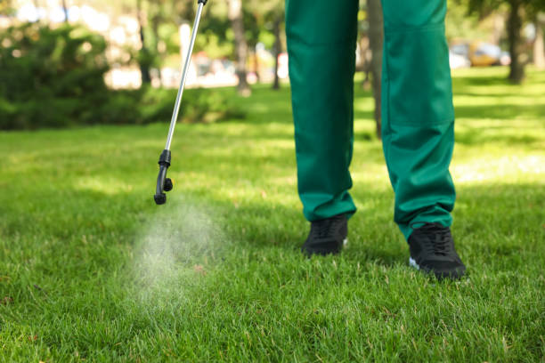 Best Exterminator Services  in Taylor, TX