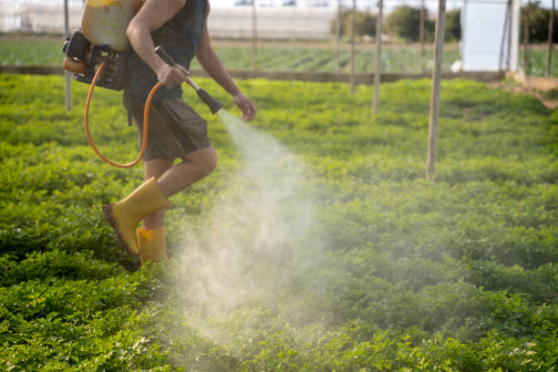 Best Pest Control Near Me  in Taylor, TX