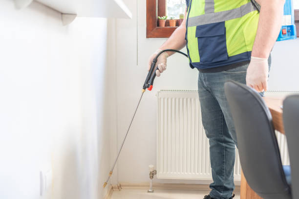 Best Local Pest Control Services  in Taylor, TX