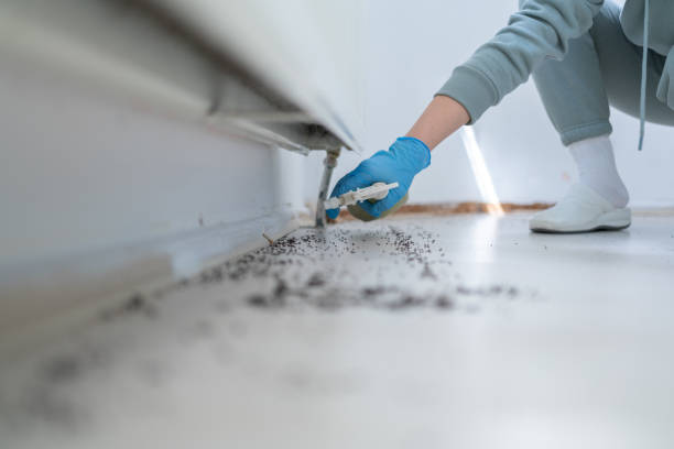 Best Pest Prevention Services  in Taylor, TX